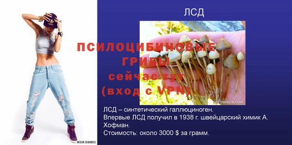 бошки Верея