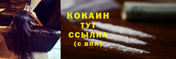 бошки Верея