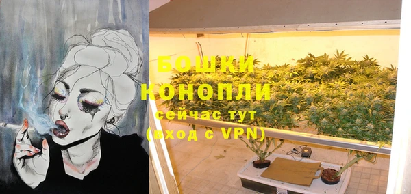 бошки Верея