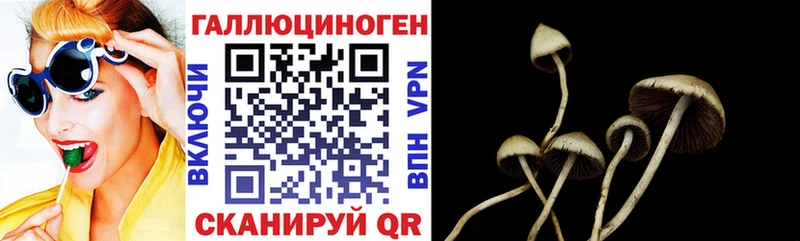 Купить  Карпинск  Псилоцибиновые грибы ЛСД 
