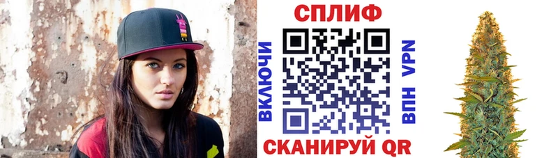 Купить где  Карпинск  Каннабис Amnesia 